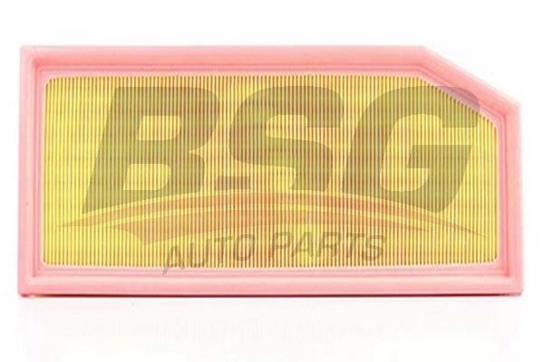 Фильтр воздушный MERCEDES C (W203),E (W210),ML (W163),S (W220),G (W463) (TDI) BS BSG 60-135-008 BSG