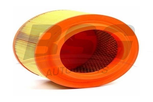 Фильтр воздушный FORD Ranger MAZDA BT-50 (11-) BSG BSG30135027 BSG