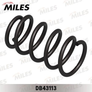 Пружина задней подвески HYUNDAI SANTA FE 4WD 11/05- (KYB RC6343) DB43113 DB43113 MILES