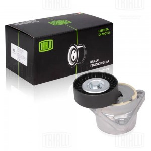 Ролик приводного ремня с натяжным механизмом CM 0501 TRIALLI