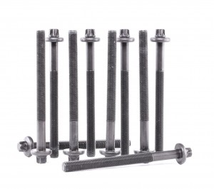 RENAULT CLIO II/SYMBOL (1998-2008) 14-32157-01 VICTOR REINZ