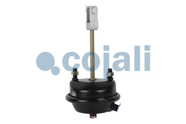 Камера тормозная T24 MAN/RVI аналог Wabco 4231069000 2251107 COJALI