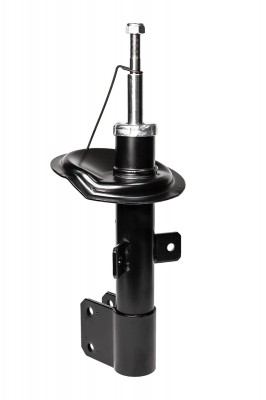 Амортизатор передний, GAS F21GR0098 F21GR0098 CWORKS