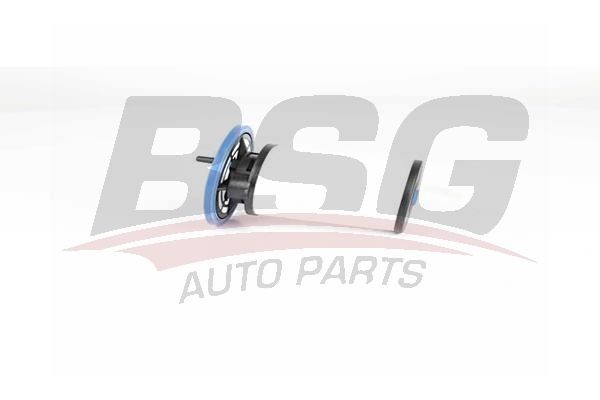 Фильтр топливный PEUGEOT Boxer CITROEN Jumper FIAT Ducato (06-) BSG BSG25130005 BSG