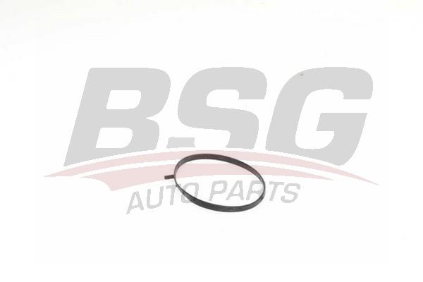 Кольцо уплотнительное MERCEDES Sprinter (дв.OM651) заслонки дроссельной BSG BSG60116003 BSG