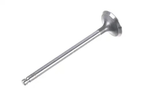 клапан впускной! 28.6x6x101.6 Chevrolet Aveo/Lacetti 1.4i 16V F14D3 03> Z71419 ZENTPARTS