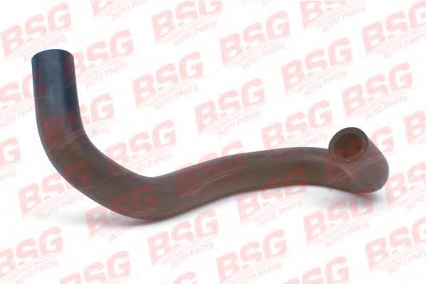 Шланг FORD Connect радиатора масляного BSG BSG30720091 BSG