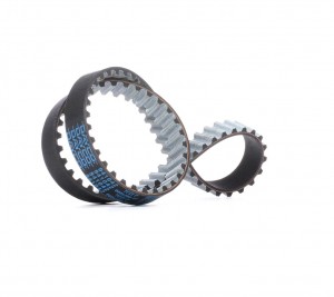 Ремень ТНВД [80 зуб., 20mm] 941042 DAYCO