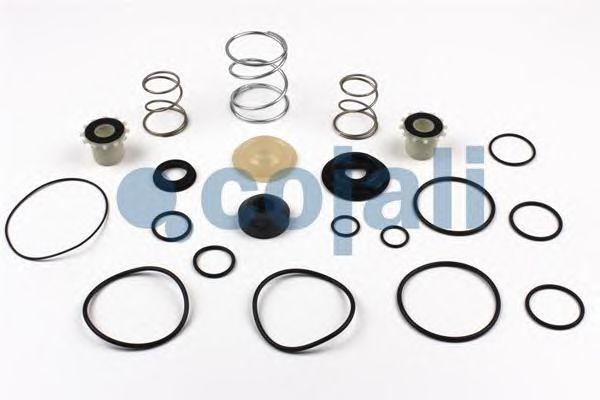 РМК крана DAF 6014134 COJALI