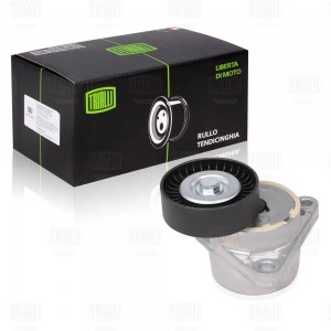 Ролик привод. ремня для а/м Chevrolet Lacetti (04-) 1.4i/1.6i (с натяж. мех.) (п CM 0501N TRIALLI