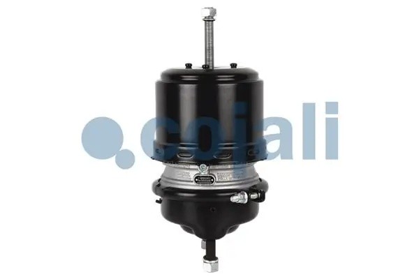 Энергоаккумулятор (дисковый тормоз) прав. TYPE 24/24 2251513 COJALI