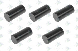 Палец планетарной передачи 16S221 95534252 EURORICAMBI