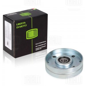 Ролик приводного ремня NISSAN Almera (N16E),Primera (P11/P12) натяжителя кондици CM 1401 TRIALLI