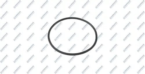 Кольцо уплотнительное КПП 115x4x3 ZF K2002300 KACMAZLAR