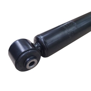 Амортизатор CHEVROLET Aveo / Kalos 2003 - 2008  зад.прав.лев. GY0286G GY0286G CTR