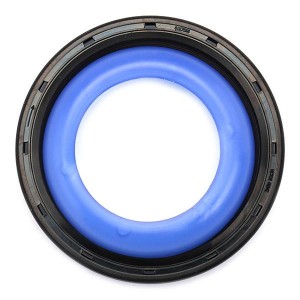 BMW/MINI/CITROEN/PEUGEOT 81-41219-00 VICTOR REINZ