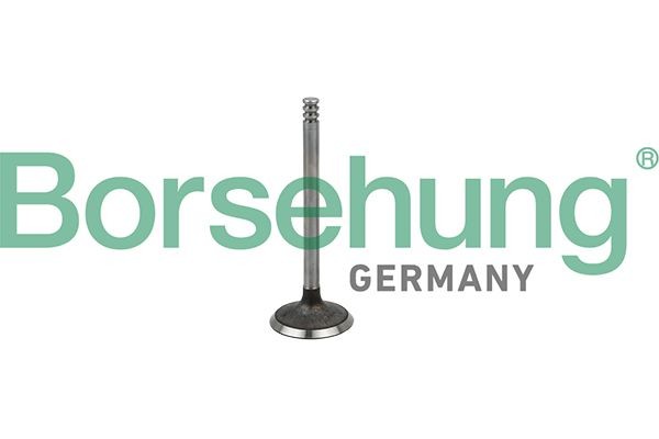 клапан впускной! 36x7x90\ VW Golf/Passat/Sharan/Polo 1.4TDi/1.9TDi 98> B19029 BORSEHUNG