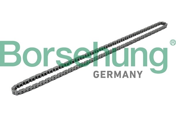 VW TIGUAN (2011-2016) B1C019 BORSEHUNG