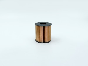 Фильтр масляный GB-1219 GB1219 BIG FILTER