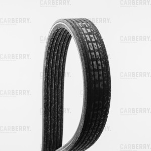 VW/ AUDI / SKODA / SEAT / FORD 6DPK1195 CARBERRY