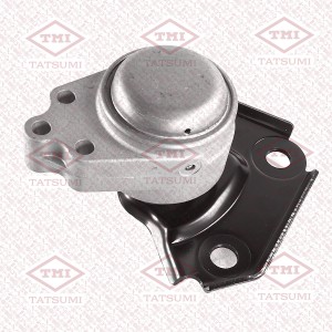 FORD FUSION/FIESTA TEG1381 TATSUMI