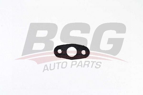 Прокладка FORD Transit (06-) (2.2 Puma) трубки сливной турбокомпрессора BSG BSG30116099 BSG