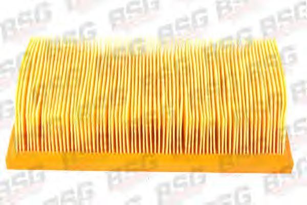 Фильтр воздушный FORD Focus,C-Max (03-11) BSG BSG30135007 BSG