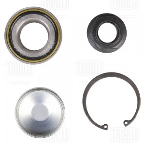 Ремкомплект ступицы задн. для а/м Лада Largus (12-)/Renault Duster (10-) 2WD (CS CS 0978 TRIALLI