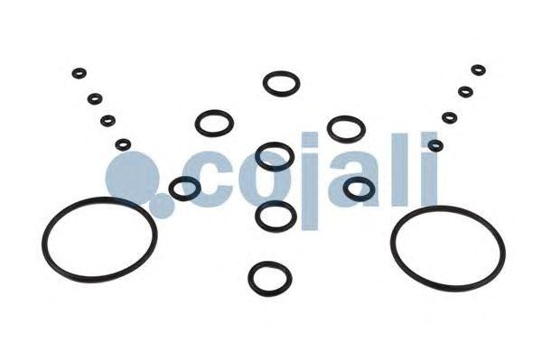 РМК модулятора EBS 6014113 COJALI