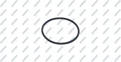 Уплотнительное кольцо (55.6X3mm) цилиндра переключения КПП MB Actroc K2106534 KACMAZLAR