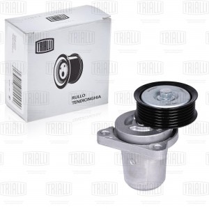 Ролик привод. ремня Mazda 6 (02-) 1.8i/2.0i/2.3i/2.5i (с натяж. мех.) h26.5 (CMS CMS 1206 TRIALLI