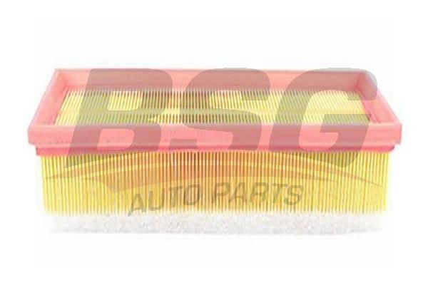 Фильтр воздушный PEUGEOT 207 (06-),308 (07-) CITROEN C4 (04-) (1.6 HDI) BSG BSG70135002 BSG