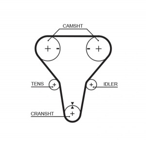 Ремень зубчатый 5512XS 123 x 22 (8597-15512) 5512XS GATES