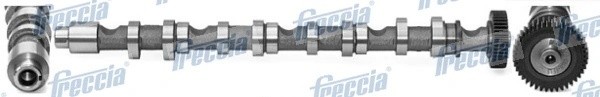 распредвал выпускной!\ Audi A1/A3/A4/A5/A6, VW Golf/Jetta/Passat 1.6/2.0TDi 03> CM05-2196 FRECCIA