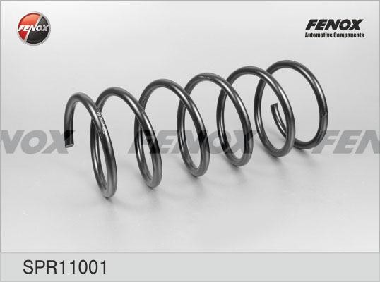 Пружина передняя Hyundai Accent 99-06 1.3, 1.5, 1.6 SPR11001 SPR11001 FENOX