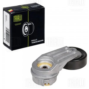 Ролик привод. ремня с натяж. мех. для а м Chevrolet Captiva (11-) 2.5i (CM 0506) CM 0506 TRIALLI