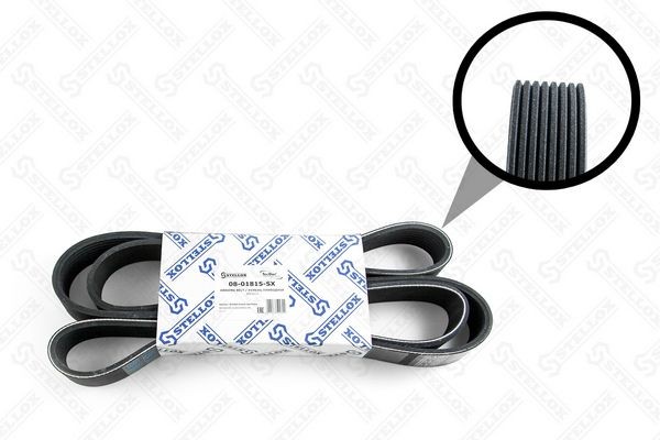 ремень! поликлиновой 8PK1815 \CUMMINS 08-01815-SX STELLOX