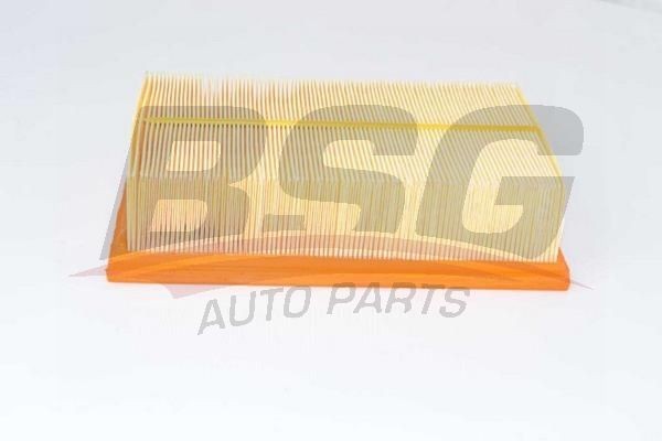 Фильтр воздушный VW Golf AUDI A3 SKODA Octavia (13-) (1.8 TSI/TFSI/1.6/2.0 TDI)  BSG90135020 BSG