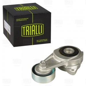 Ролик привод. ремня Honda Jazz (08-) 1.2i/1.3i/1.4i (с натяж. мех.) (CM 5555) CM 5555 TRIALLI