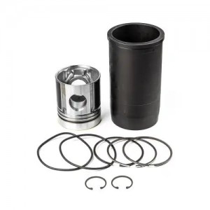 Поршневая гр 245 дв. Евро 4 (гильза, порш., у/кольца, п/кольца, D=42мм)(1 цил) ( 2451000105E MOTOR DETAL