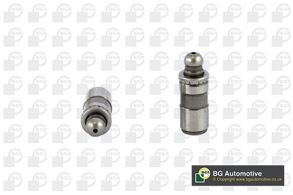 гидрокомпенсатор!\ Citroen C5/C8, Peugeot 406/607 2.2HDi 16V 00> HL5393 BG AUTOMOTIVE
