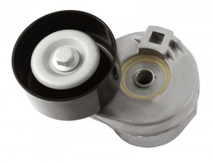 Натяжитель ремня приводного FORD TRANSIT 2.4D 00-06 (INA 534003110) AG00009 AG00009 MILES