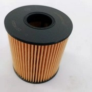 Фильтр масляный JAC T6 SOLLERS ST6 (бенз.) OE 1010208GD190 JAC