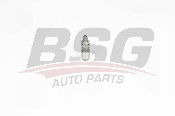 Гидрокомпенсатор HYUNDAI Santa Fe (00-),Tucson (04-) BSG BSG40122028 BSG