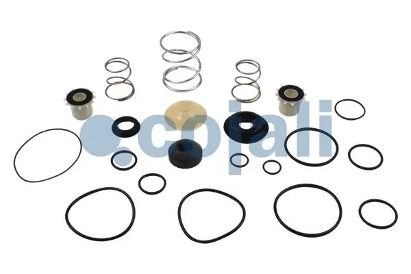 РМК крана DAF 6014134 COJALI