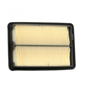 Фильтр воздушный NISSAN Qashqai (13-),X-Trail (T32R) (14-) FILTRON AP1242 FILTRON
