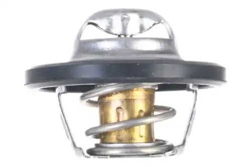 термостат! с прокладкой Daewoo Lanos/Nexia/Espero 1.4-1.8 95> Z45556 ZENTPARTS