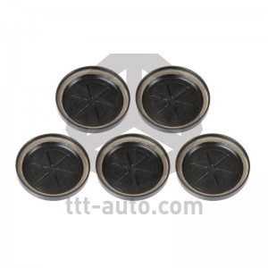 р/к диcков. тормоза! 5(мр) к-т заглушек D45 Knorr\SN6/SN7/SK7 17142 TTT AUTO