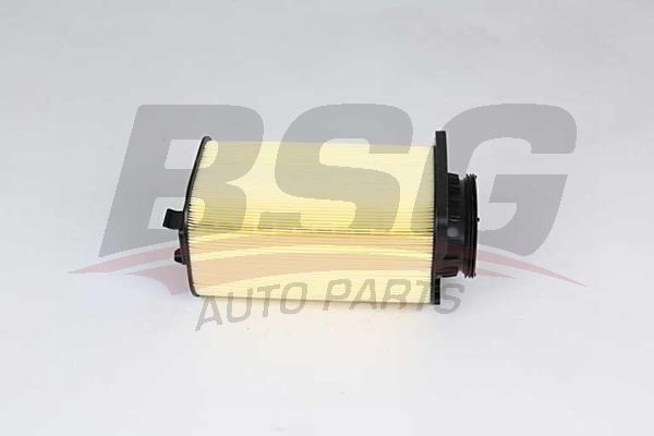Фильтр воздушный MERCEDES C (C204,S204,W204),E (A207,C207,S212),GLK (X204) (M274 BSG60135030 BSG