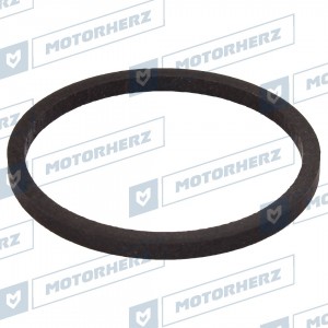 Тефлон рулевой рейки !27.2x30.7x2 \ HT0014 MOTORHERZ